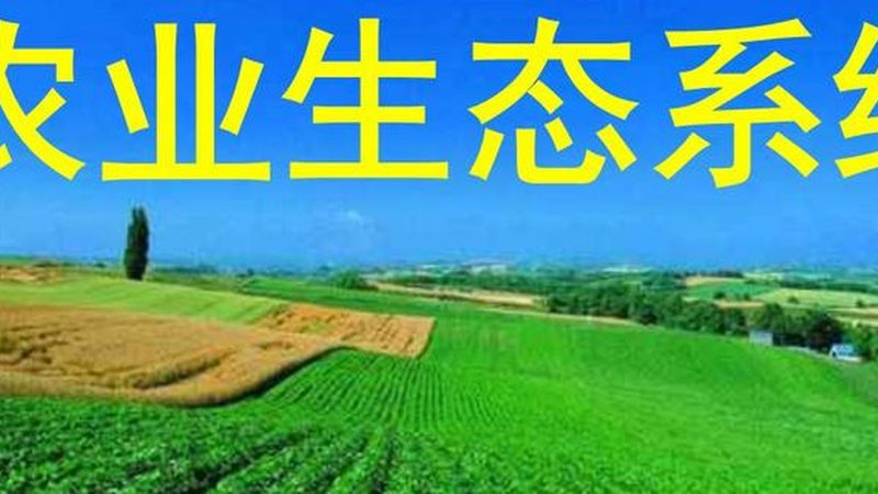 城市屋顶种水果方案哪家好