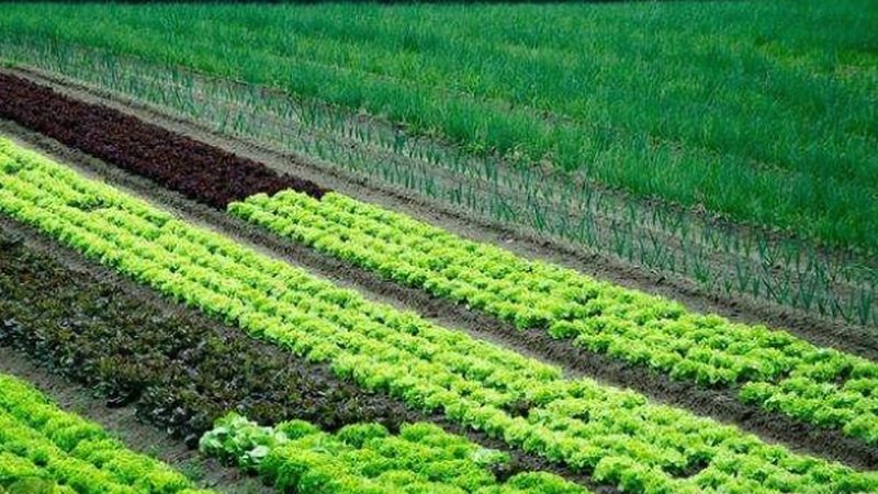 智能粮食种植机械化设备：参数解析与选型逻辑