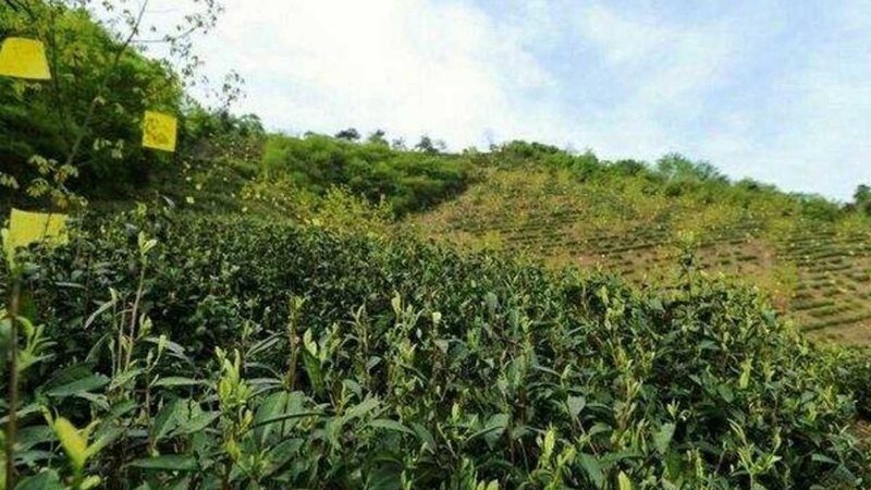 农民专业合作社贷款审批时间揭秘：流程与影响因素