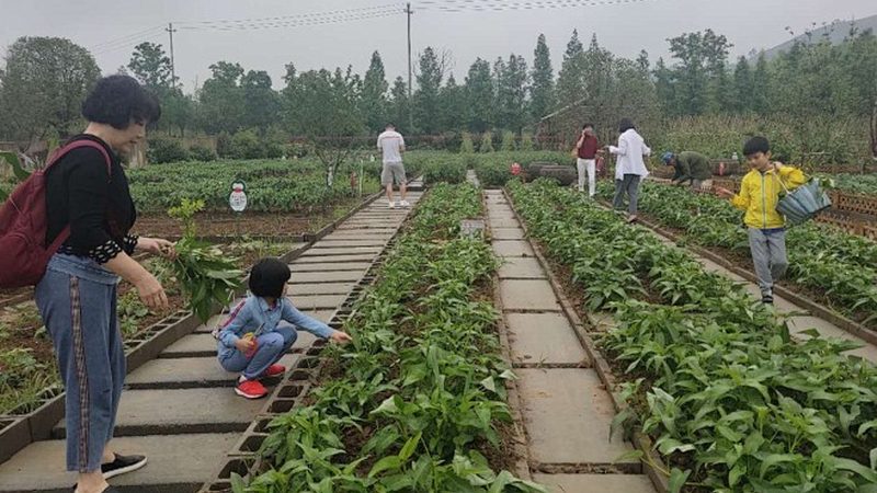 社区果蔬配送小程序开发