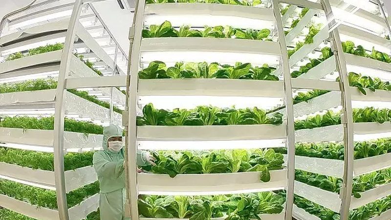 合作社合规之路：揭秘农民专业合作社注册材料真实性承诺书**