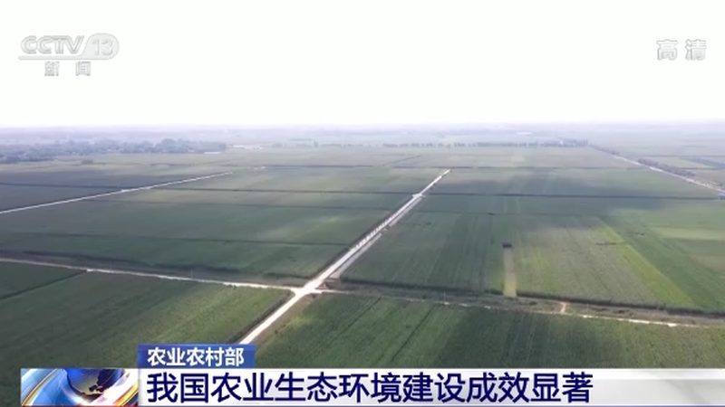 农场亲子户外拓展教练团队：如何打造高效互动体验**
