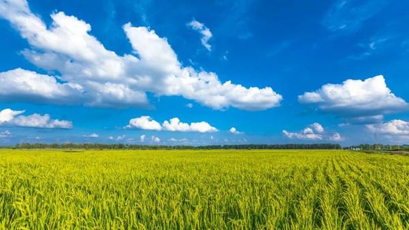 农业种植加盟，设备清单揭秘：从选型到应用**