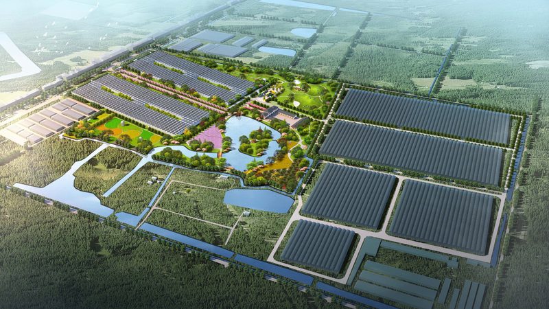 果蔬冷链运输材质要求解析：安全、高效、环保的秘诀