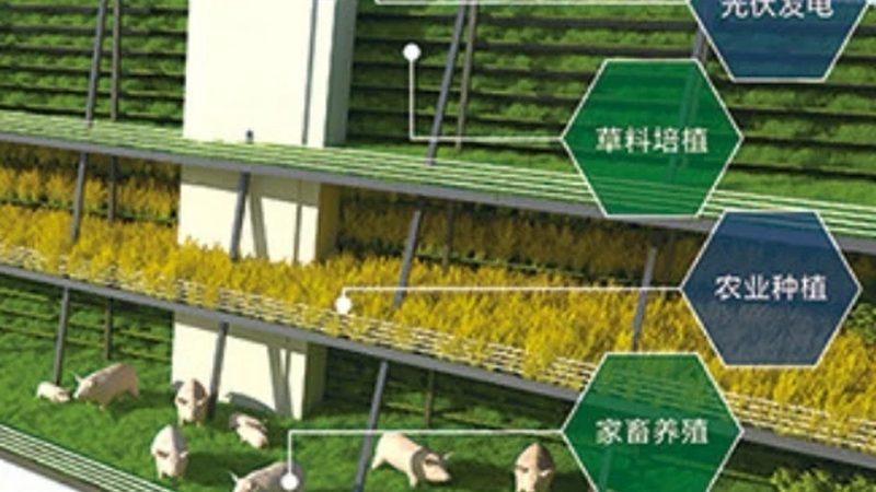 山地农业项目如何实现盈利：关键要素与策略