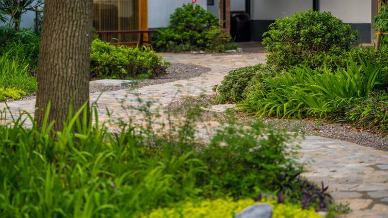 玉米种子如何选择？揭秘粮食种植厂家直销的关键要素**