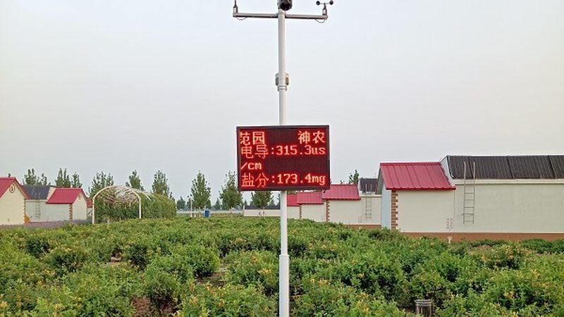 农产品价格行情：解码市场波动背后的逻辑