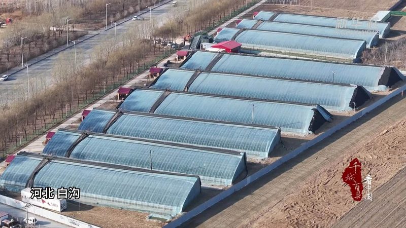 水源选择：种植地块的“生命之源”**