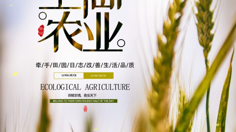 玻璃温室大棚：揭秘其成本构成与性价比